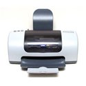 Epson Stylus Photo 810 Printer Ink